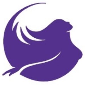 luxame salon studios logo 3